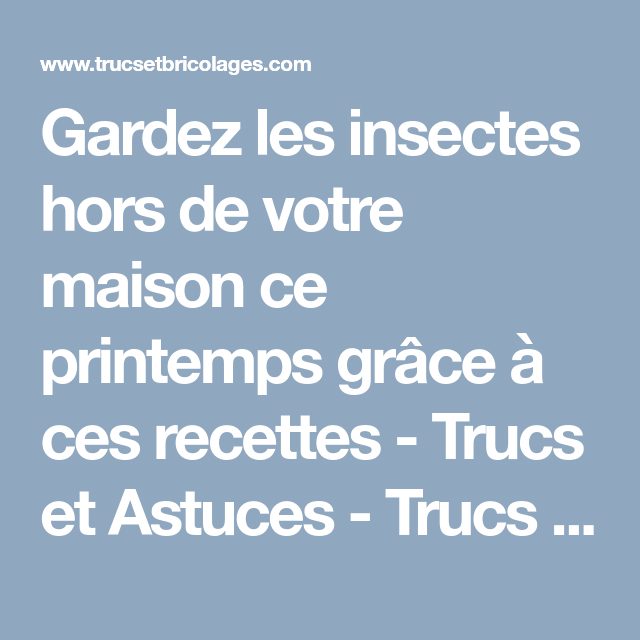 Gardez Les Insectes Hors De Votre Maison Ce Printemps serapportantà Toilette Fond Decaper Gardez Les Insectes Hors De Votre Maison Ce Printemps serapportantà Toilette Fond Decaper