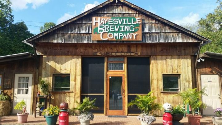 Hayesville Brewing Company | Craft Beer, Local Brewery concernant Dmo Cosy Move