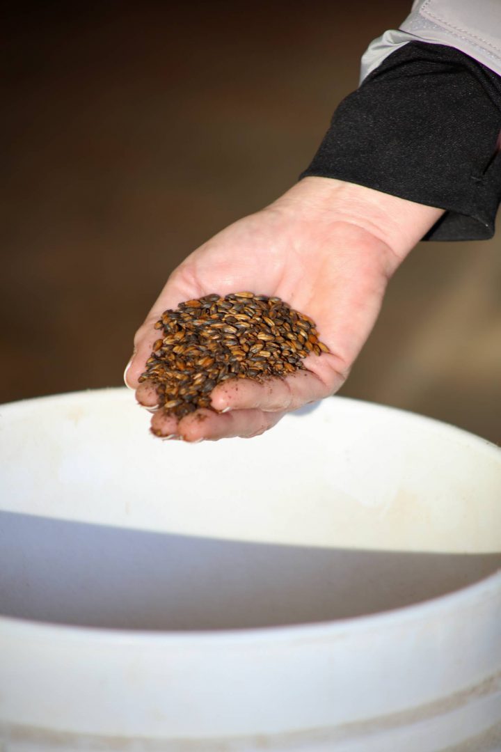 Hayesville Brewing Company | Craft Beer, Local Brewery pour Dmo Cosy Move Hayesville Brewing Company | Craft Beer, Local Brewery pour Dmo Cosy Move