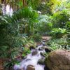 Jardin Botanique- Botanic Garden-Guadeloupe | Guadeloupe tout Horaires Jardin Botanique Tropical Lisbonne Tourisme