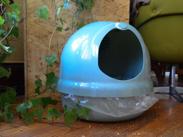 L'Éducation D'Un Chaton : Propreté, Territoire dedans Litiere Dadypet L'Éducation D'Un Chaton : Propreté, Territoire dedans Litiere Dadypet