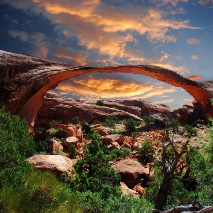 Les Plus Belles Images Du Monde! – Archzine.fr tout Les Plus Belles Rideaux