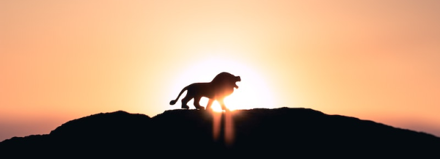 könig der löwen text