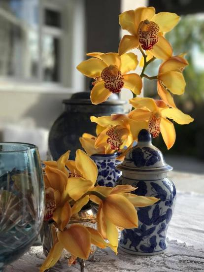 Maison De L'Amour intérieur Offenburg Maison De L'Amour Maison De L'Amour intérieur Offenburg Maison De L'Amour