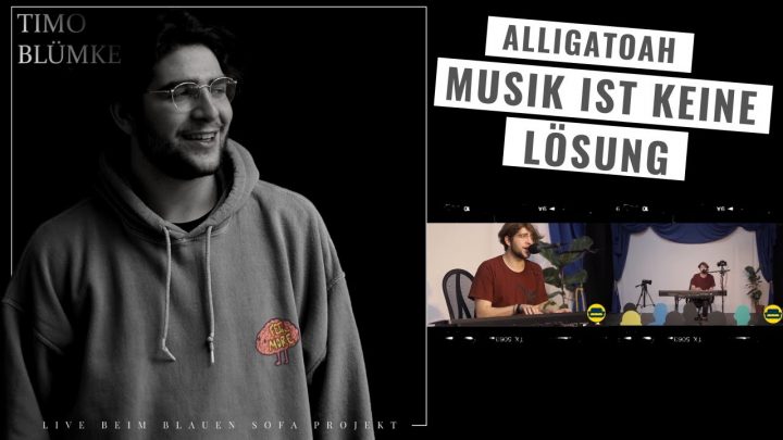 alligatoah musik ist keine lösung lyrics