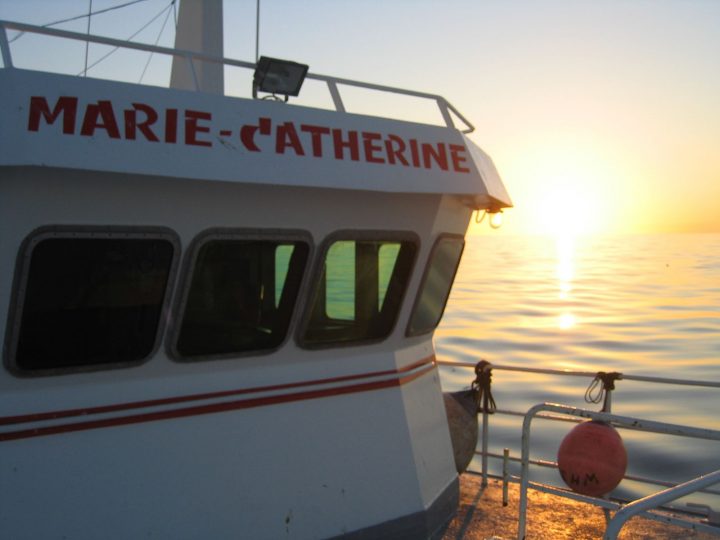 Photos De La Mer Et Divers – Le Blog De Sophie dedans Chez Sophie Marie A Port En Bessin