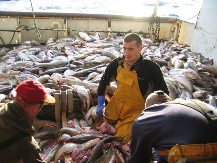 Photos Equipage Et Pontée – Le Blog De Sophie concernant Chez Sophie Marie A Port En Bessin Photos Equipage Et Pontée – Le Blog De Sophie concernant Chez Sophie Marie A Port En Bessin
