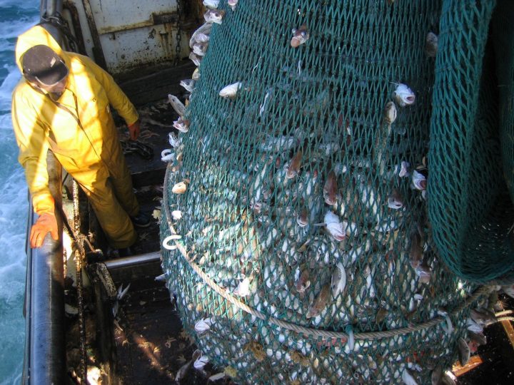 Photos Equipage Et Pontée – Le Blog De Sophie destiné Chez Sophie Marie A Port En Bessin Photos Equipage Et Pontée – Le Blog De Sophie destiné Chez Sophie Marie A Port En Bessin