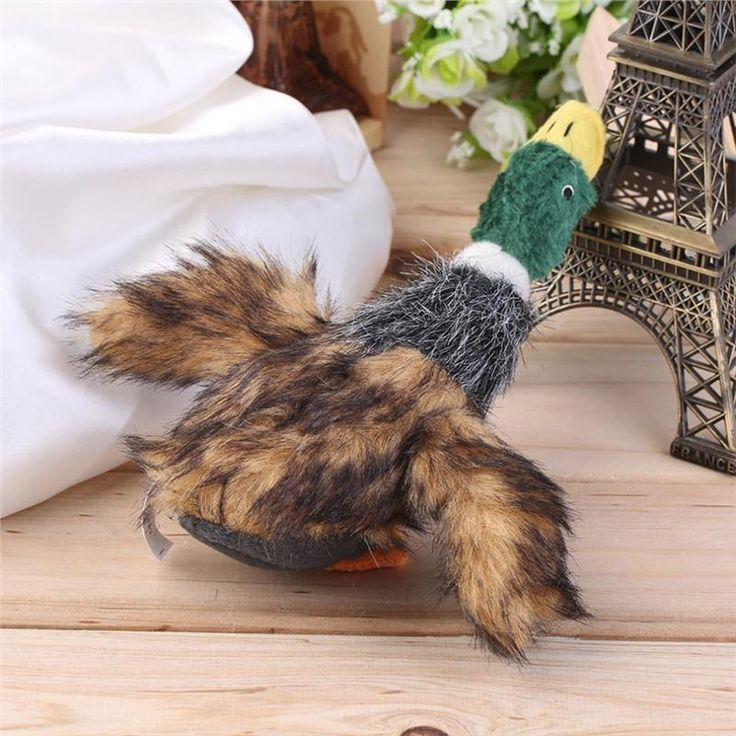 Pin On Vip Ouaf serapportantà Toilettage Caniche Soi Meme Avec Clipper Video Pin On Vip Ouaf serapportantà Toilettage Caniche Soi Meme Avec Clipper Video