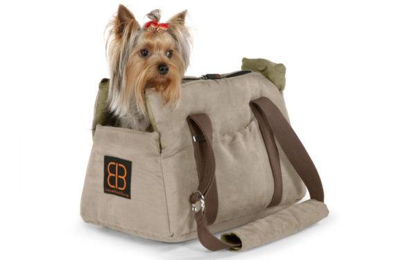 Sac Pour Chiens: Faire Le Bon Choix intérieur Toilettage Caniche Soi Meme Avec Clipper Video Sac Pour Chiens: Faire Le Bon Choix intérieur Toilettage Caniche Soi Meme Avec Clipper Video