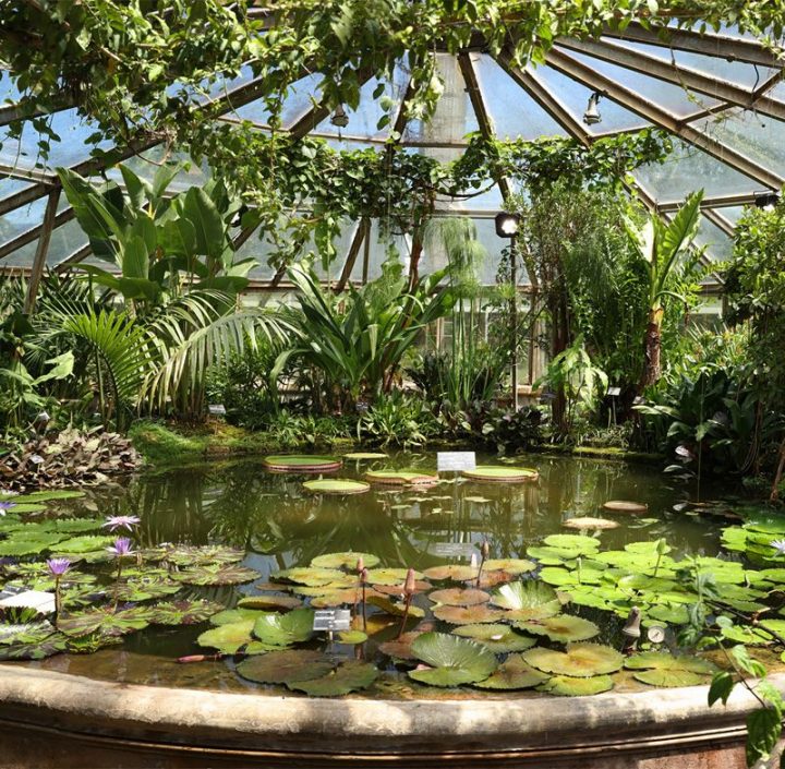 Serre Victoria Jardin Botanique De Lyon #Bassin #Garden # concernant Jerdin De Lyou Lourdes