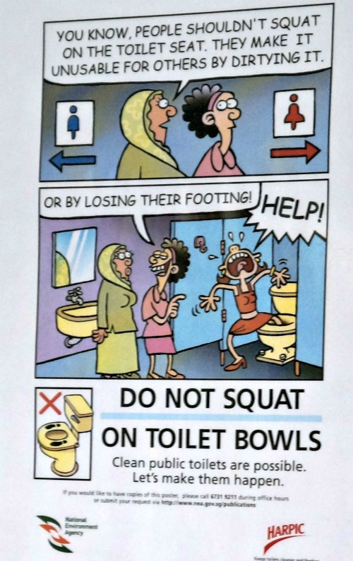Singapour Les Panneaux D'Interdiction – Annikapanika avec Affiche Ne Rien Jeter Dans Les Toilettes