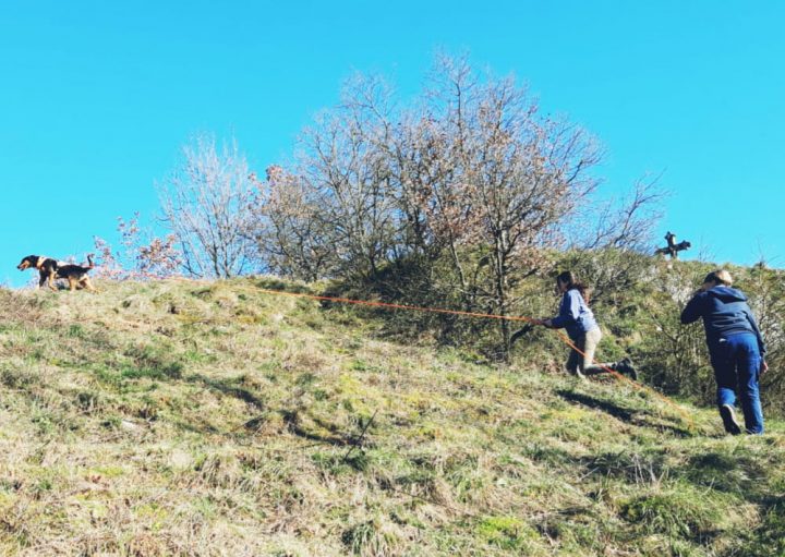 Stage « Flair Plaisir » | Auvergne-Rhône-Alpes Tourisme concernant Flair Plaisir 71 Stage « Flair Plaisir » | Auvergne-Rhône-Alpes Tourisme concernant Flair Plaisir 71