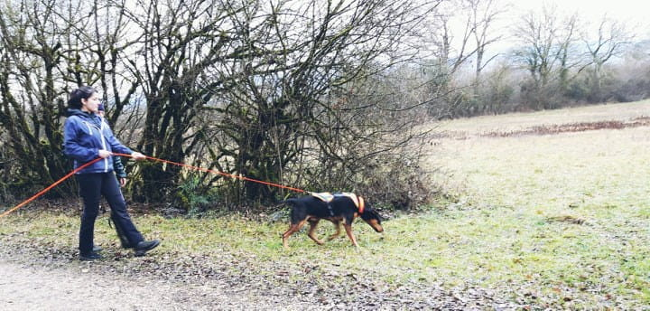 Stage « Flair Plaisir » | Auvergne-Rhône-Alpes Tourisme dedans Flair Plaisir 71 Stage « Flair Plaisir » | Auvergne-Rhône-Alpes Tourisme dedans Flair Plaisir 71