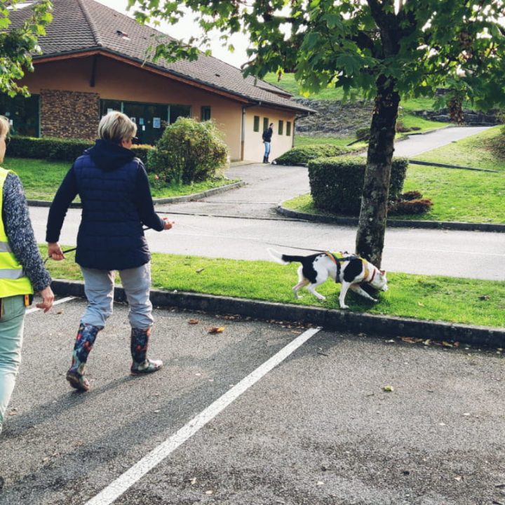 Stage « Flair Plaisir » | Auvergne-Rhône-Alpes Tourisme encequiconcerne Flair Plaisir 71