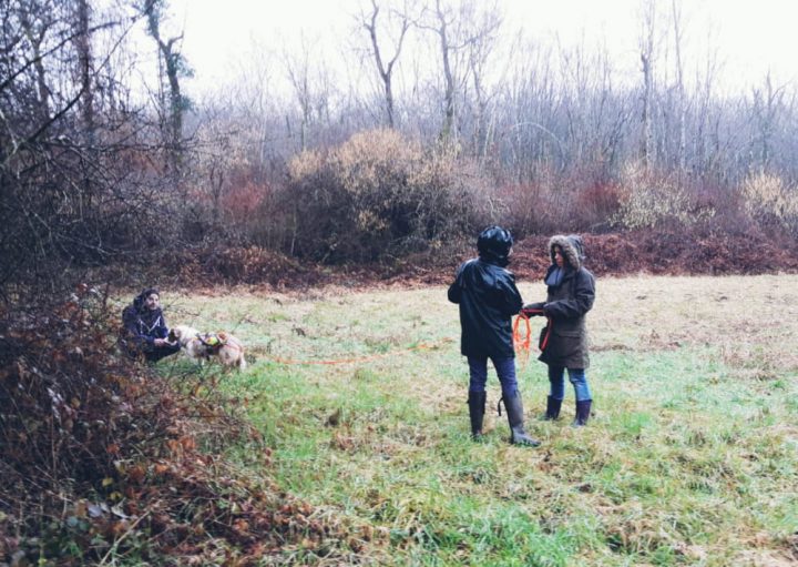 Stage « Flair Plaisir » | Auvergne-Rhône-Alpes Tourisme tout Flair Plaisir 71 Stage « Flair Plaisir » | Auvergne-Rhône-Alpes Tourisme tout Flair Plaisir 71