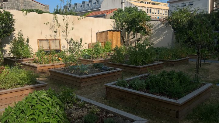Un Jardin Potager Dans Une Résidence À Bordeaux – Akebia concernant Une Gazelle Dans Un Jardin