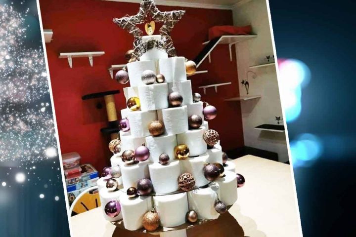 Un Sapin En Rouleau De Papier Wc : Comment S'Occuper concernant Le Trefle Papier Wc"" Un Sapin En Rouleau De Papier Wc : Comment S'Occuper concernant Le Trefle Papier Wc""