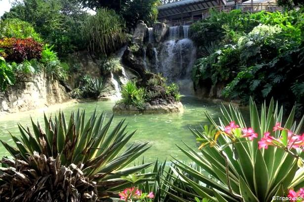 Visitez Le Jardin Botanique De Deshaies, En Guadeloupe dedans Horaires Jardin Botanique Tropical Lisbonne Tourisme
