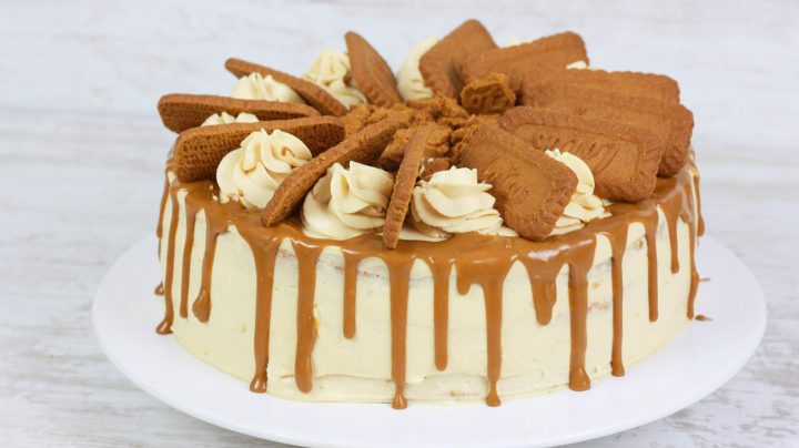 rezepte mit lotus creme rezepte mit lotus creme