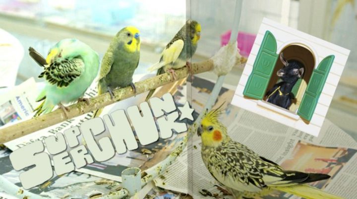 superchunk – wild loneliness