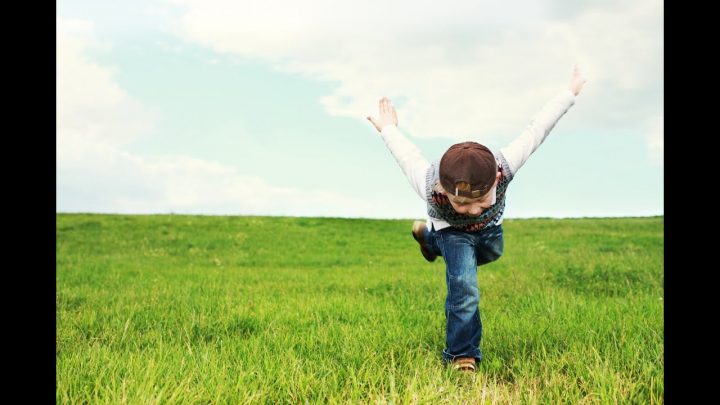kinder brauchen wurzeln und flügel bedeutung kinder brauchen wurzeln und flügel bedeutung