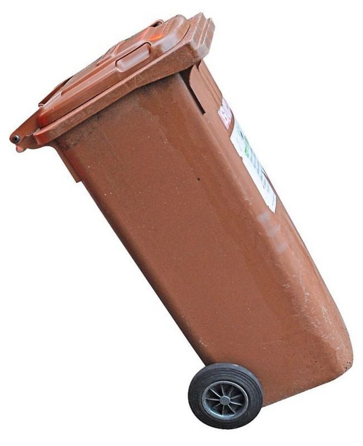 darf hundekot in die biotonne darf hundekot in die biotonne