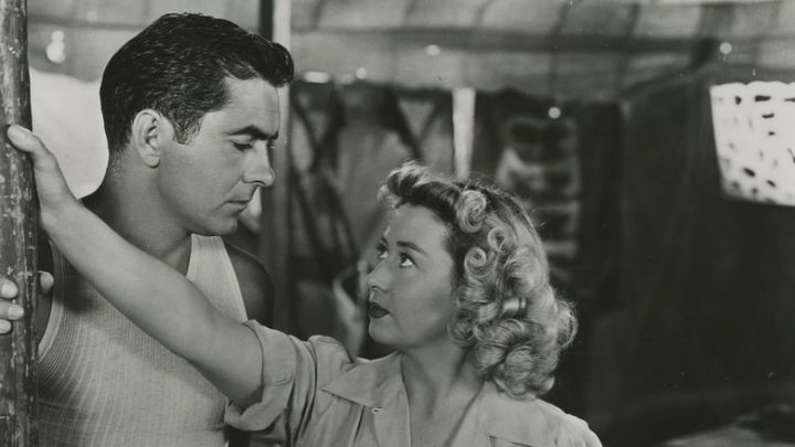 nightmare alley kino berlin