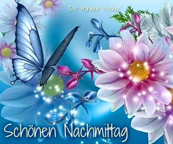 danke für den schönen nachmittag