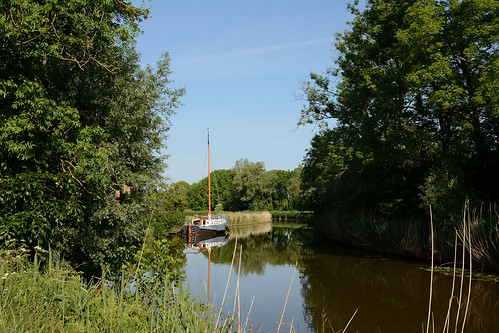 sunny side of life sunny side of life