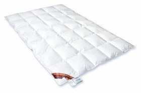 federkissen stinken nach waschen federkissen stinken nach waschen