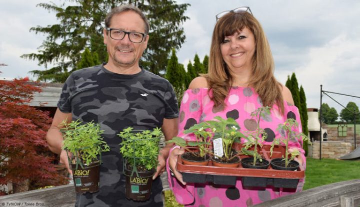 ab ins beet marion und ingo 2022 ab ins beet marion und ingo 2022