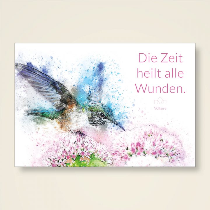 die zeit heilt keine wunden text die zeit heilt keine wunden text