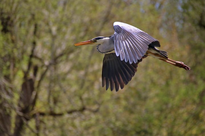 guten flug in den 1 mai guten flug in den 1 mai