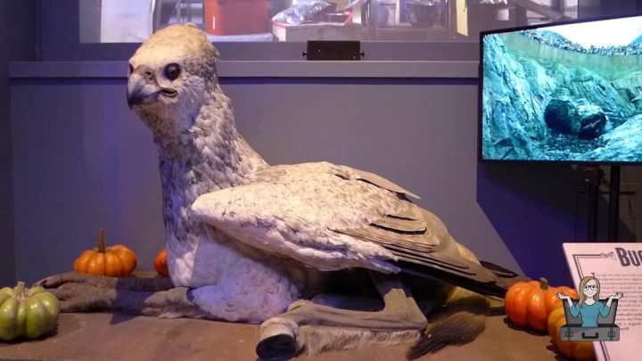 harry potter norwegischer stachelbuckel harry potter norwegischer stachelbuckel