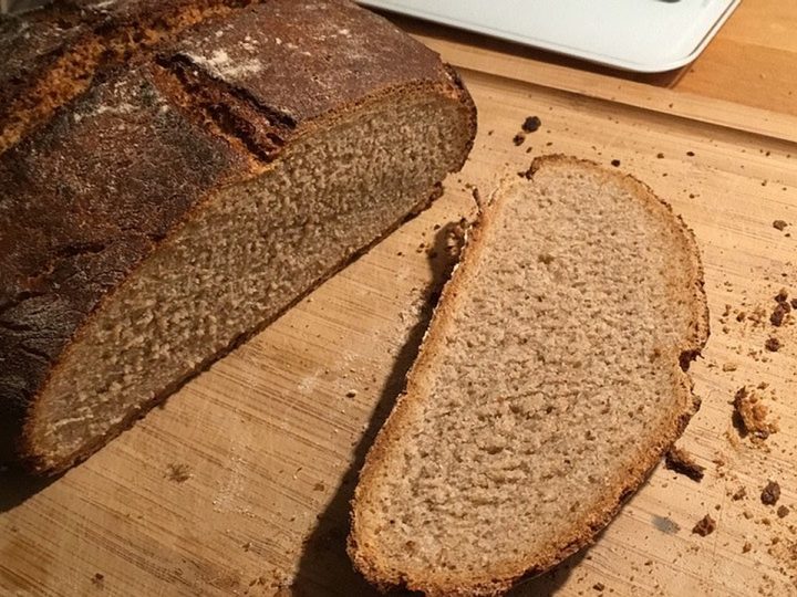 roggenvollkornbrot mit sauerteig ohne hefe roggenvollkornbrot mit sauerteig ohne hefe