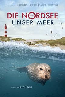 die nordsee unser meer mediathek die nordsee unser meer mediathek