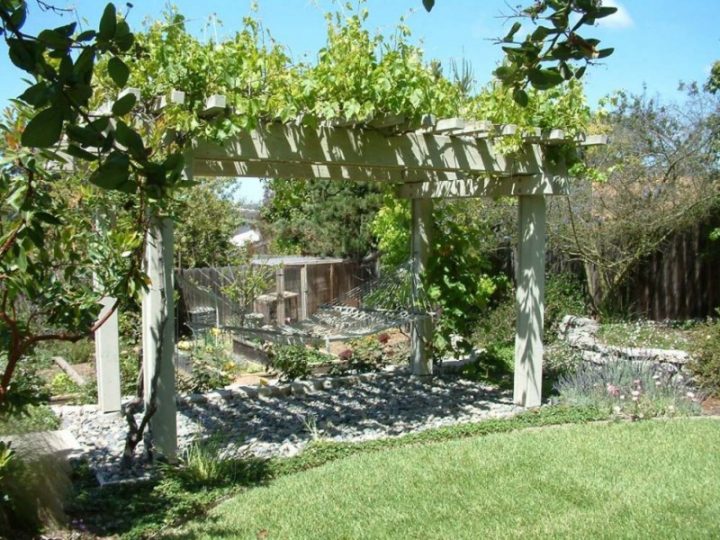 Idee Jardin Vigne – Le Spécialiste De La Décoration Extérieur pour Decor Et Jardin Histoire