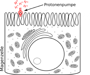 pantoprazol und alkohol erfahrungen