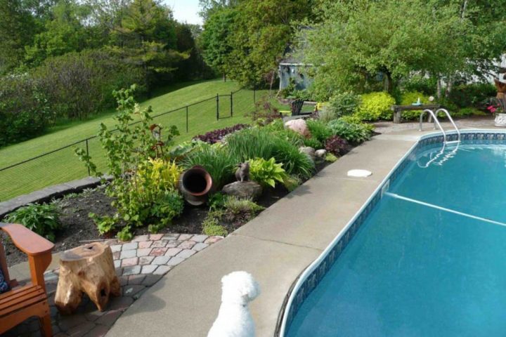 Que Planter Près D'Une Piscine? | Horticulture | Maison | Le Soleil encequiconcerne Bande De Roches Autour De La Piscine Hors Terre