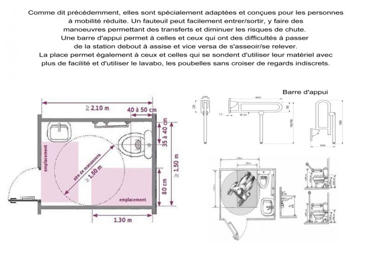 norme canadienne toilette pmr