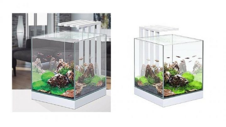 jardiland aquarium avec meuble jardiland aquarium avec meuble