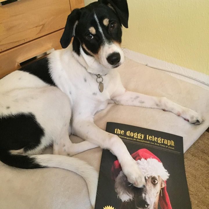 faulenzen auf der couch