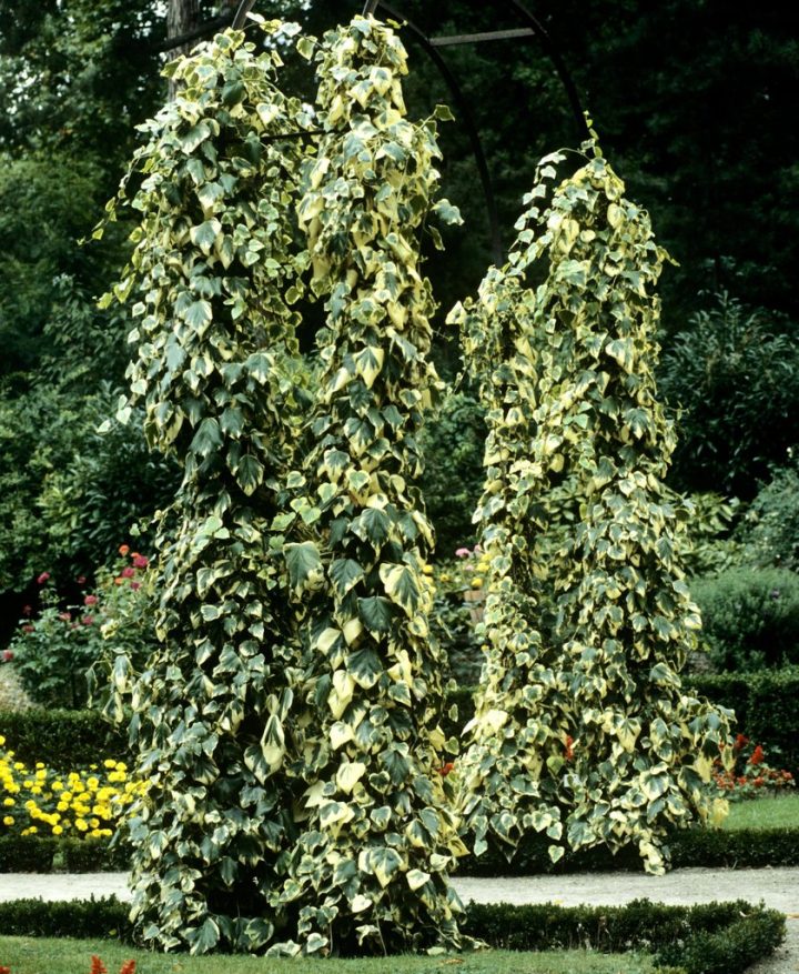 ooreka abri de jardin