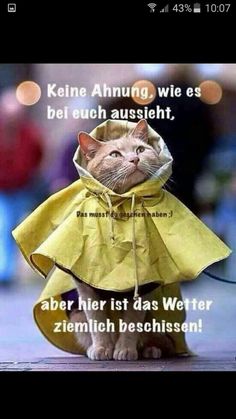 regen und sturm bilder lustig regen und sturm bilder lustig