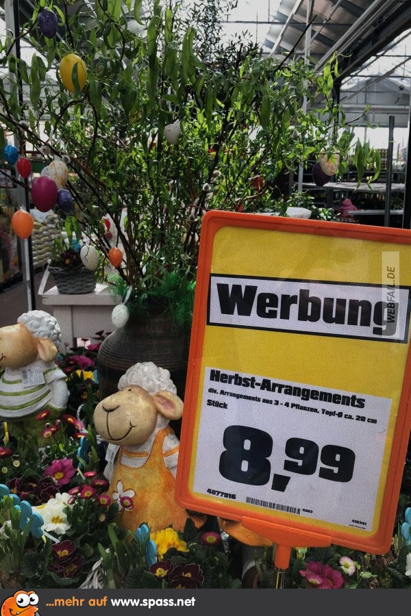 lustige herbst sprüche bilder lustige herbst sprüche bilder