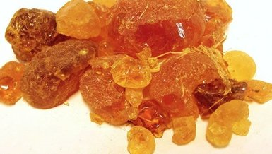 akasya gami auf deutsch