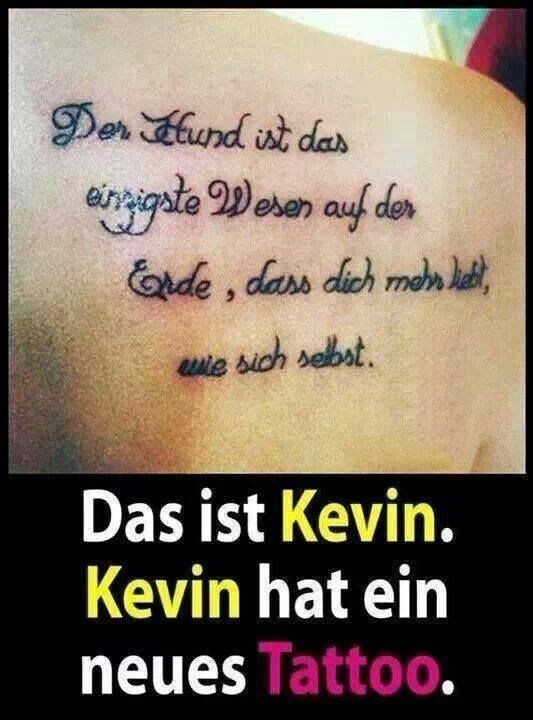 lach mal wieder lustige bilder