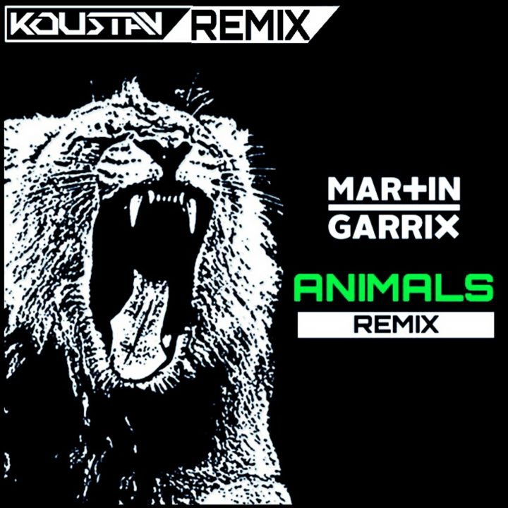 martin garrix animals text