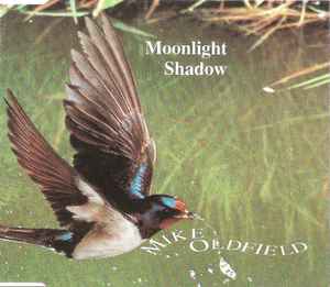 mike oldfield moonlight shadow text